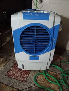 Best cool