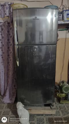 Dawlance jumbo size fridge