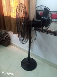 fan