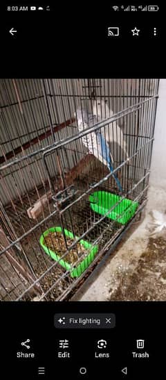 Folding Cage.