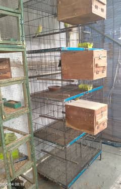Cages & wood boxes for Sale