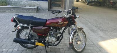 Bike