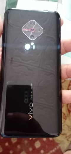 vivo