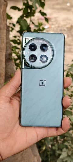 One plus 12