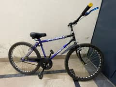 Phoenix Bicycle