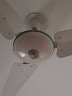 ceiling