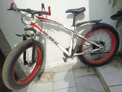 Fat Bicycle
