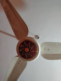 pak fan 30 watt inverter