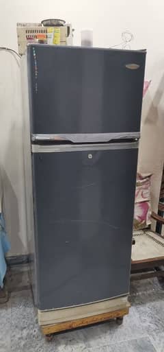 haier