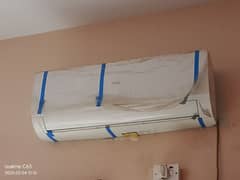 Haier