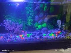 Aquarium