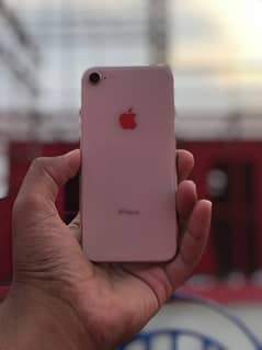Iphone 8 64gb non pta 73% battery health