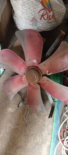 Fan
