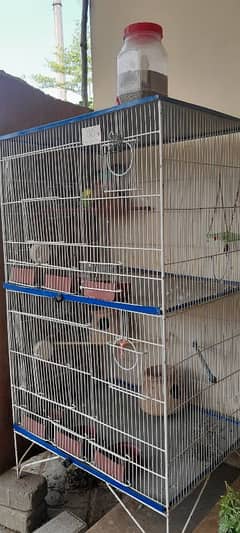 birds cage