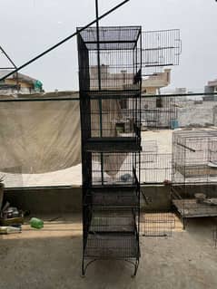 parrots cage