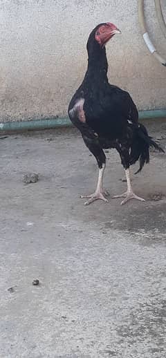 For