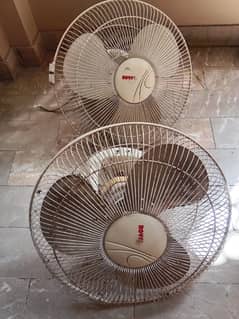 Royal ceiling fans