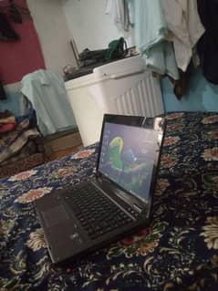 HP LAPTOP HD GRAPHICS