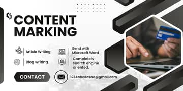 Professional content writer