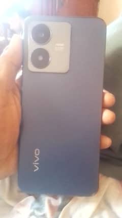 vivo.