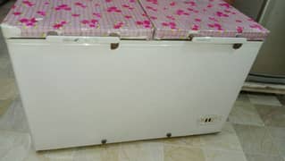 dalwance freezer
