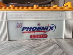 Phoenix