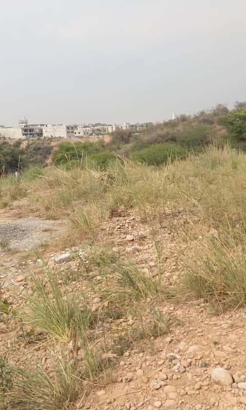 3 Side Open Dead End Plot 3