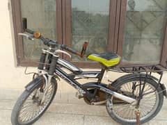 Chinese bicycle