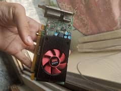 Amd
