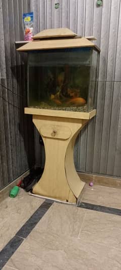 fish &aquarium