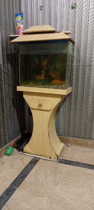 fish &aquarium 1