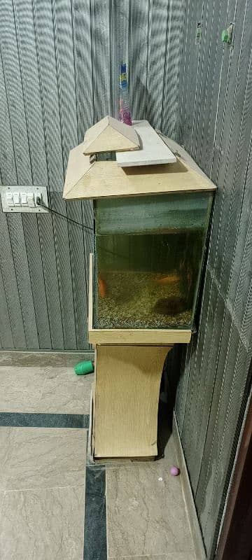 fish &aquarium 2