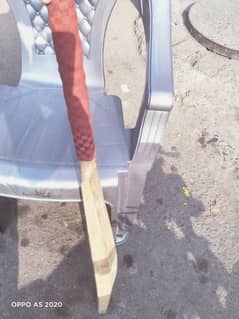 cricket