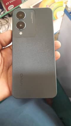 vivo