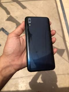 vivo