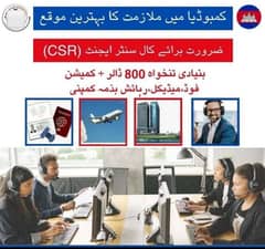 Work Visa Available