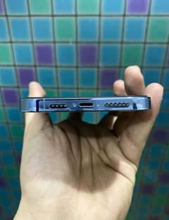 Iphone 13 pro max FU