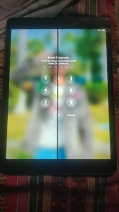 ipad 9th generation panel line