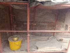 iron cage solid