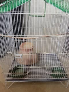 parrot cage