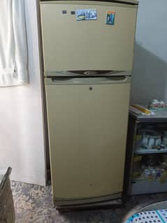 Waves Refrigerator 12cuft. for sale