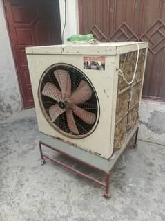 Best Condition
