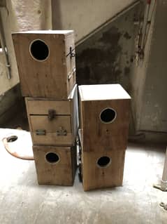 Free Birds Breeding box