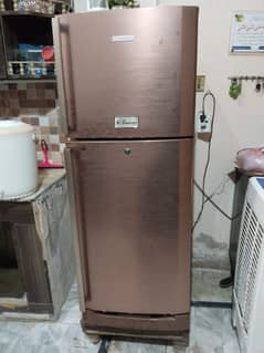 Kenwood Refrigerator
