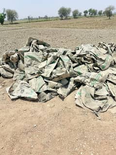 Cement
