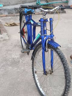 Cycle for sale