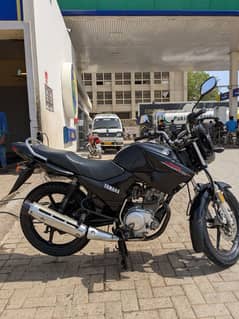 YAMAHA YBR 2018/19