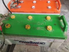23 plates Osaka and phoenix batteries available