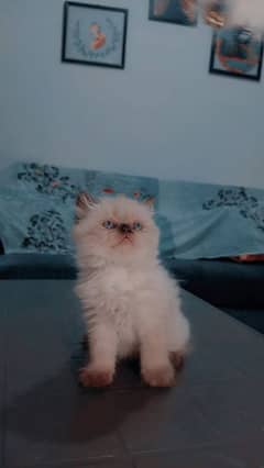 Piki