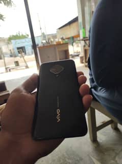 vivo